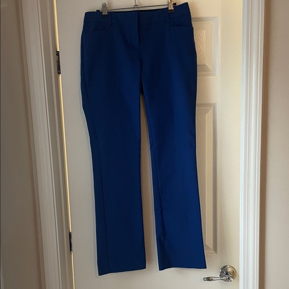 Express Women’s Columnist Dress Pants